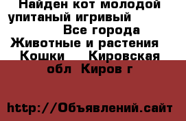 Найден кот,молодой упитаный игривый 12.03.2017 - Все города Животные и растения » Кошки   . Кировская обл.,Киров г.